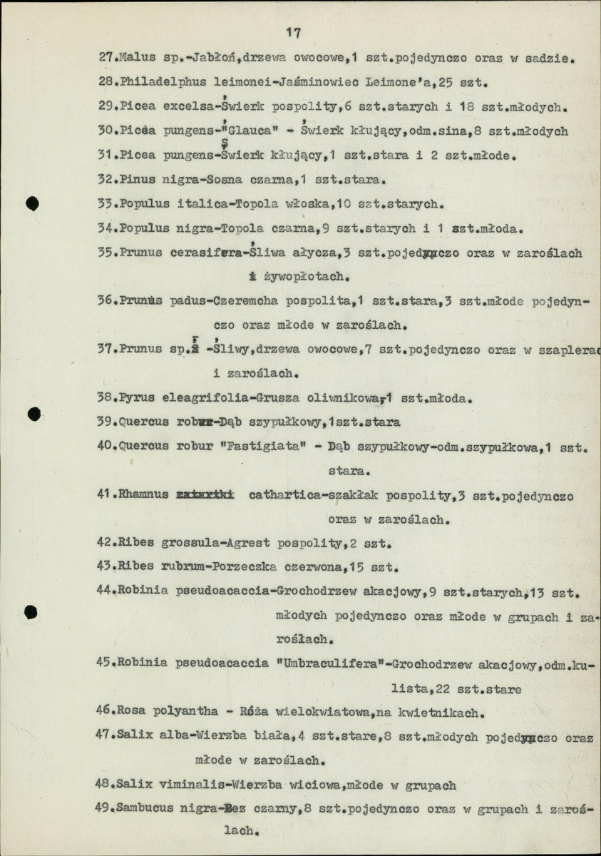 Ewidencja parkowa, skan nr 22