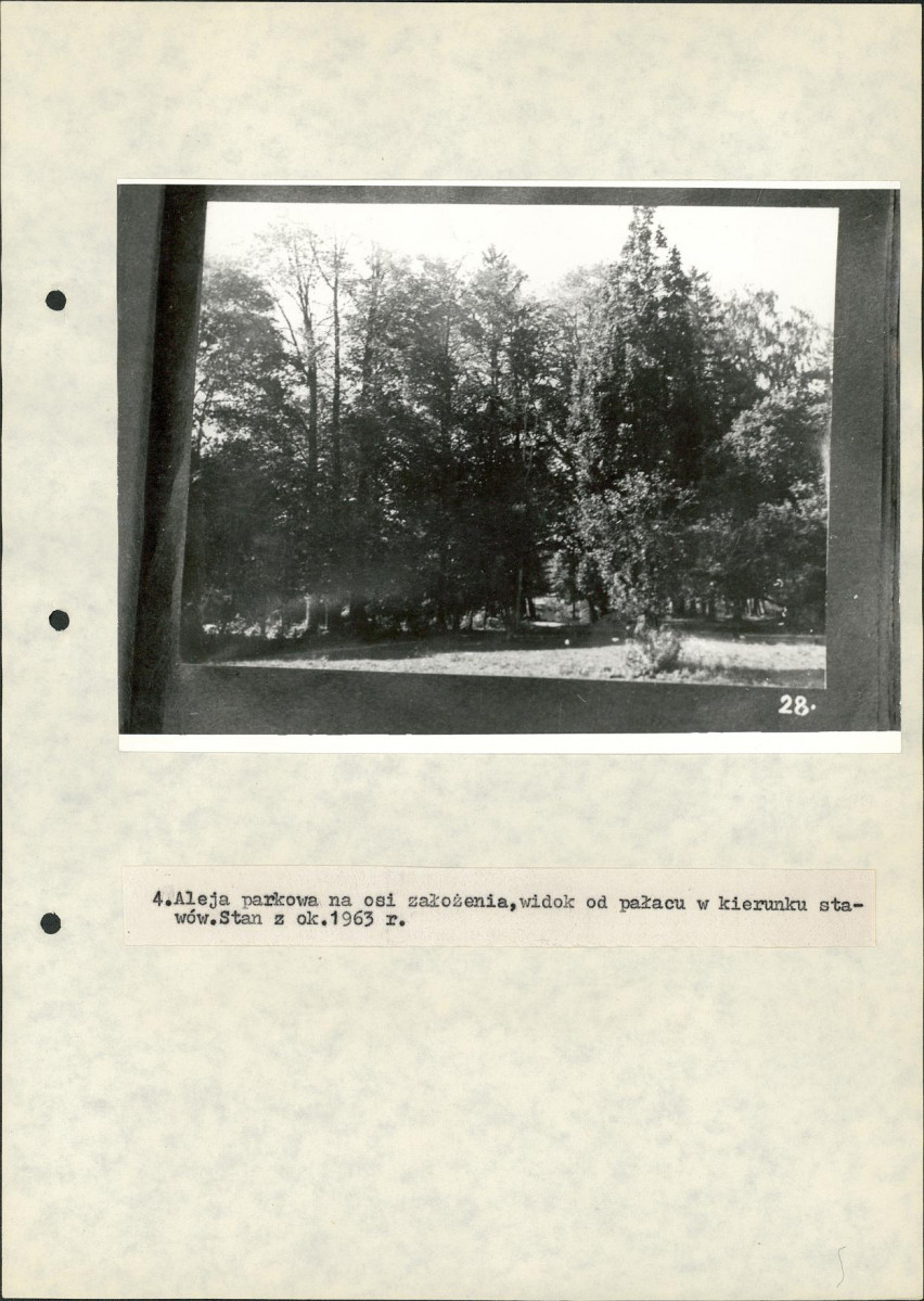 Ewidencja parkowa, skan nr 34