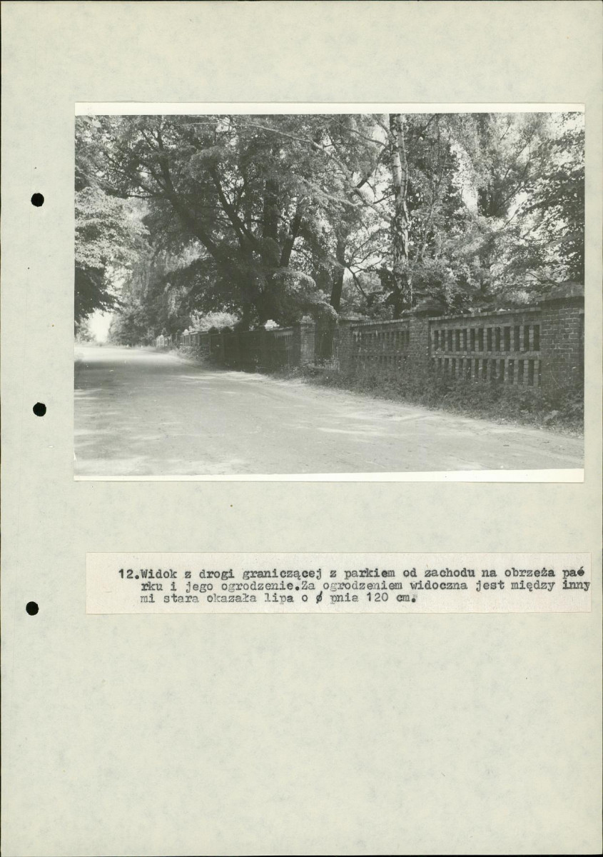 Ewidencja parkowa, skan nr 42