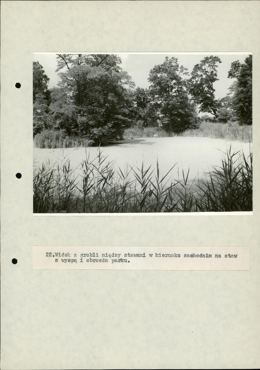 Ewidencja parkowa, skan nr 52