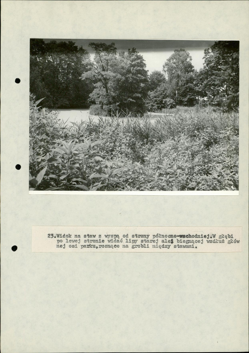 Ewidencja parkowa, skan nr 53