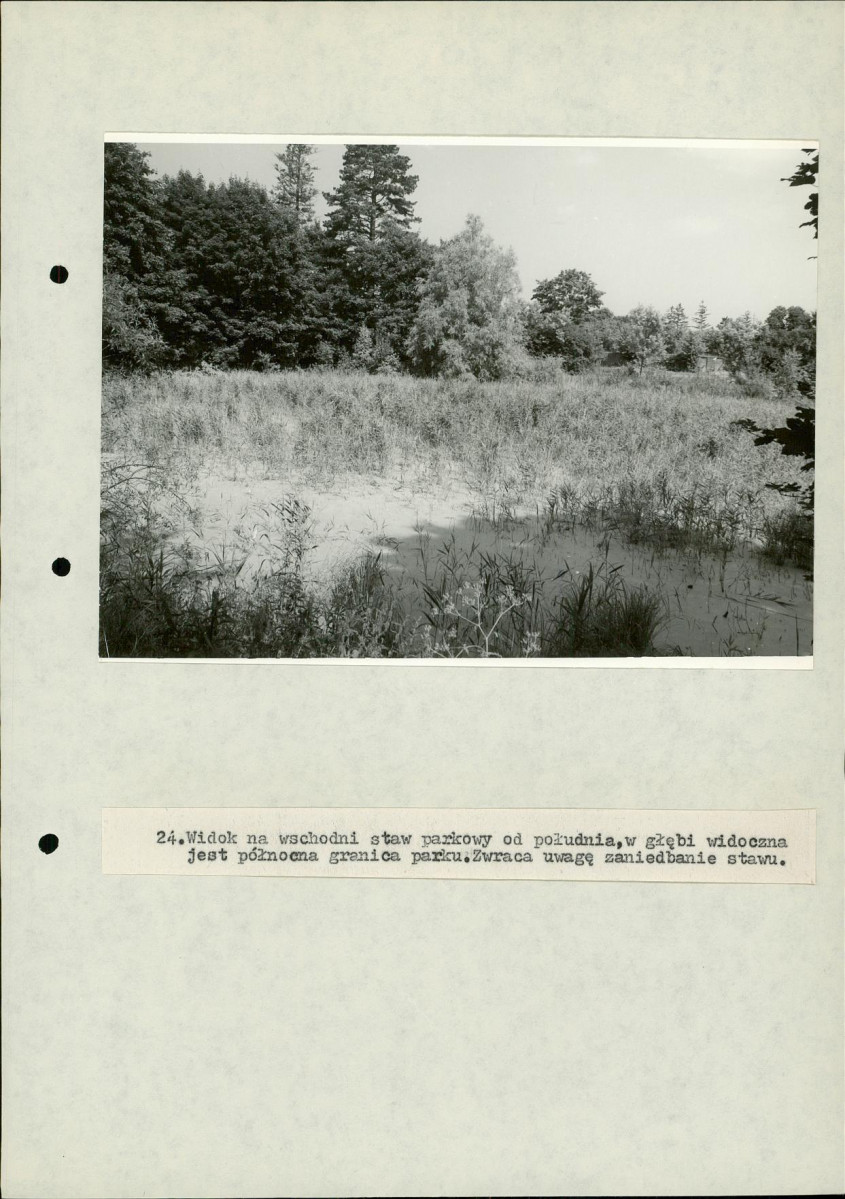 Ewidencja parkowa, skan nr 54