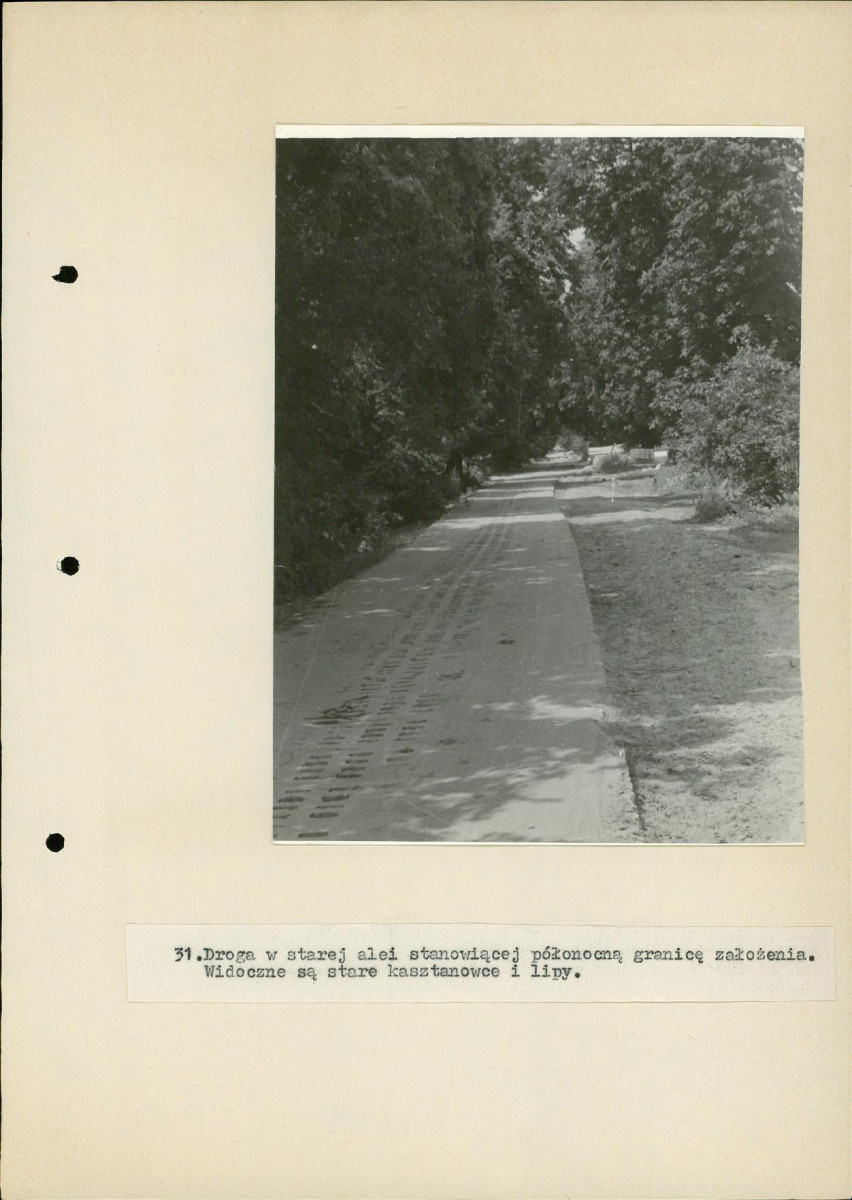 Ewidencja parkowa, skan nr 61