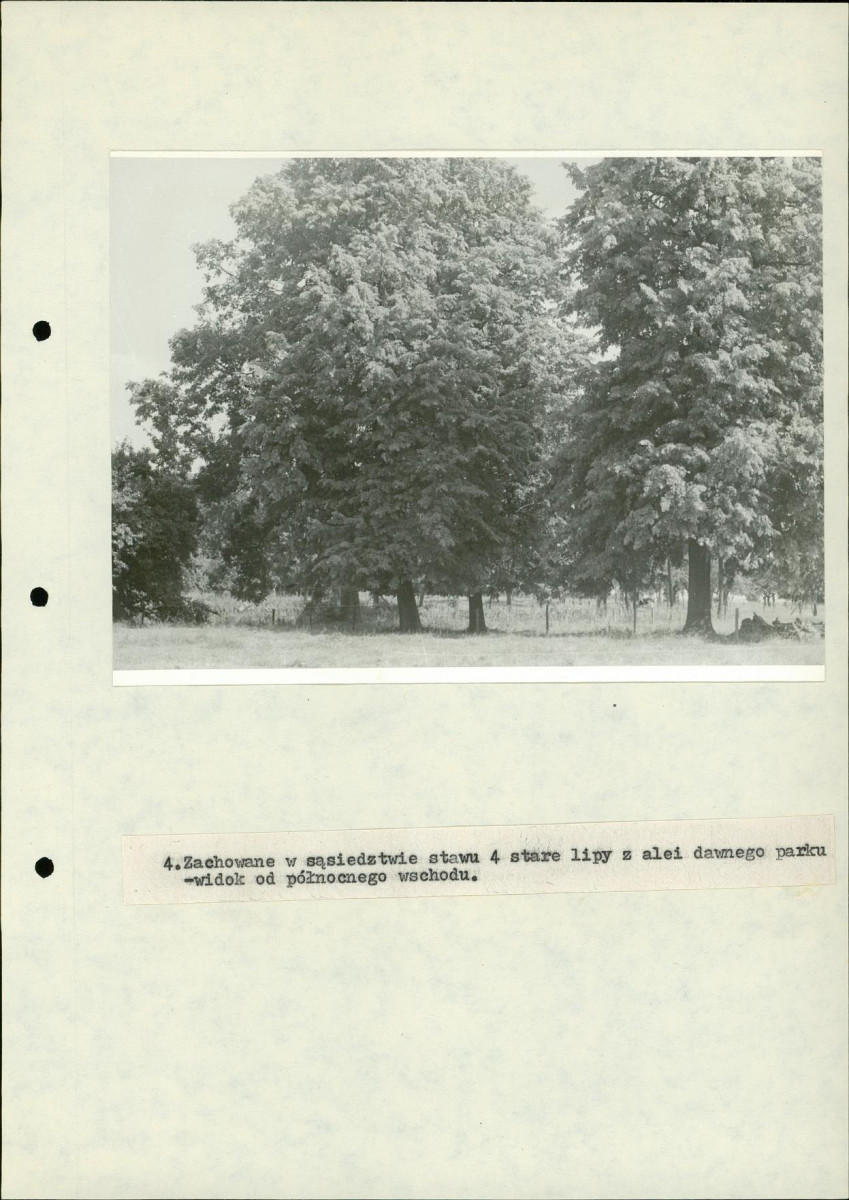 EP - Ewidencja parkowa, skan nr 24