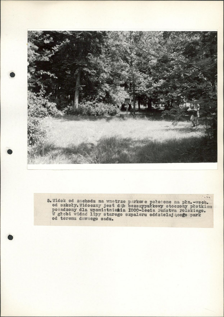 Ewidencja parkowa, skan nr 31