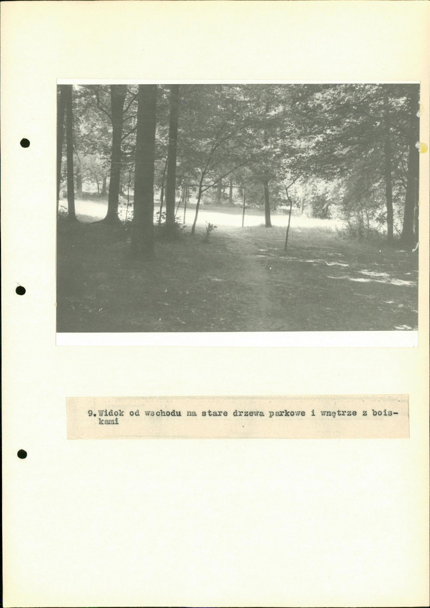 Ewidencja parkowa, skan nr 35