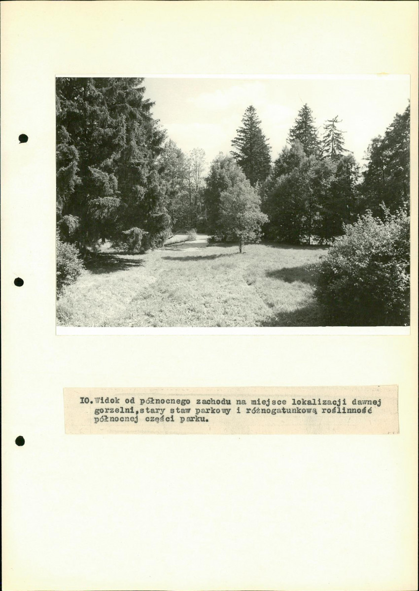 Ewidencja parkowa, skan nr 36