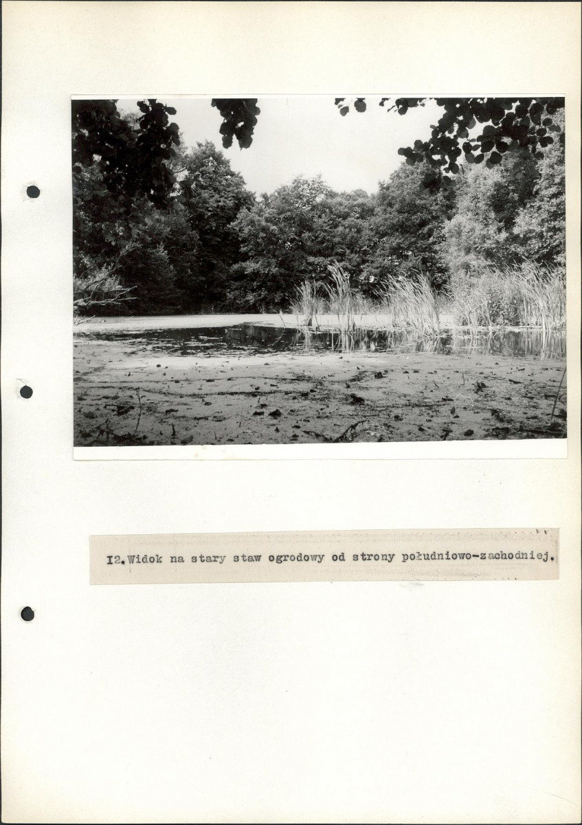 Ewidencja parkowa, skan nr 38