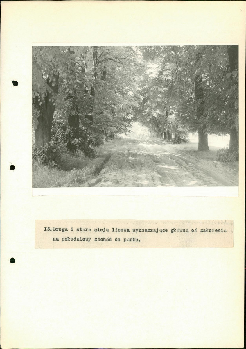 Ewidencja parkowa, skan nr 41