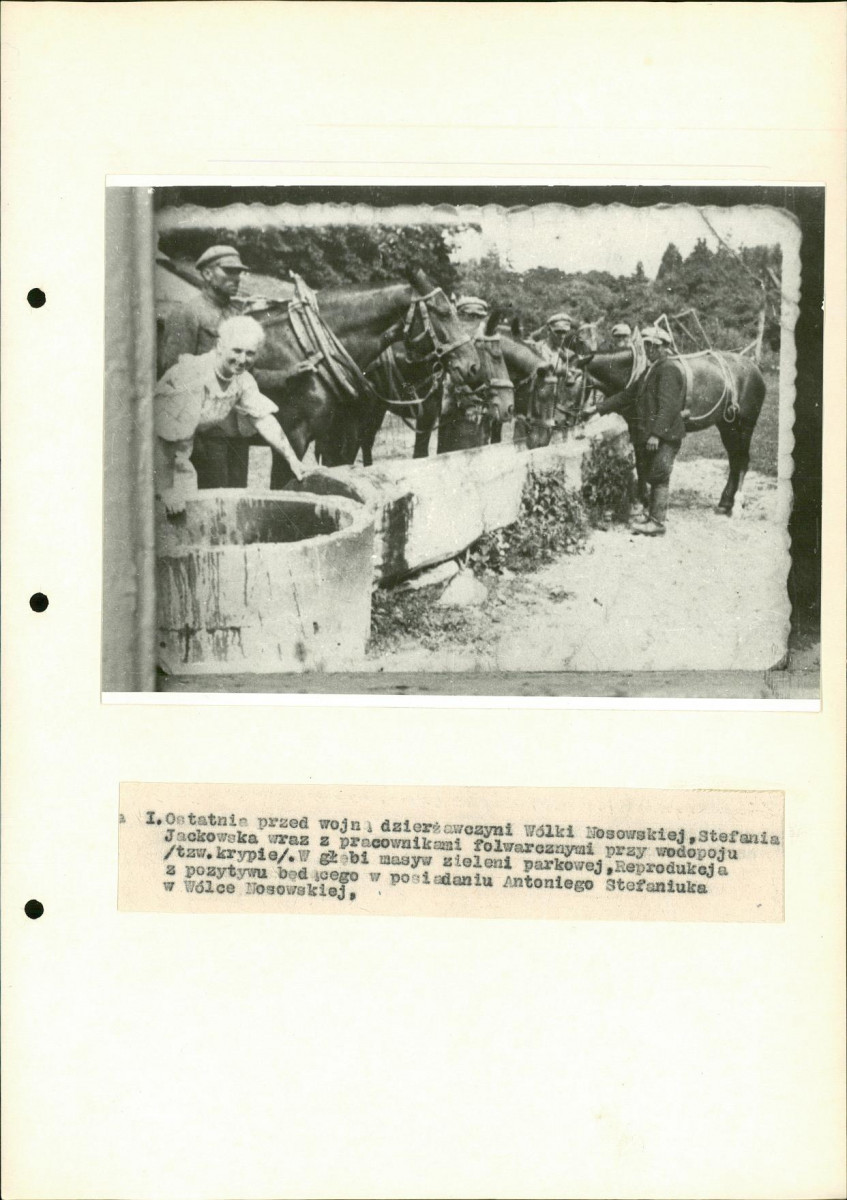 Ewidencja parkowa, skan nr 30