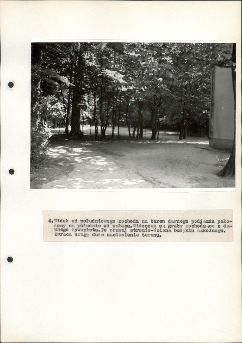 Ewidencja parkowa, skan nr 33