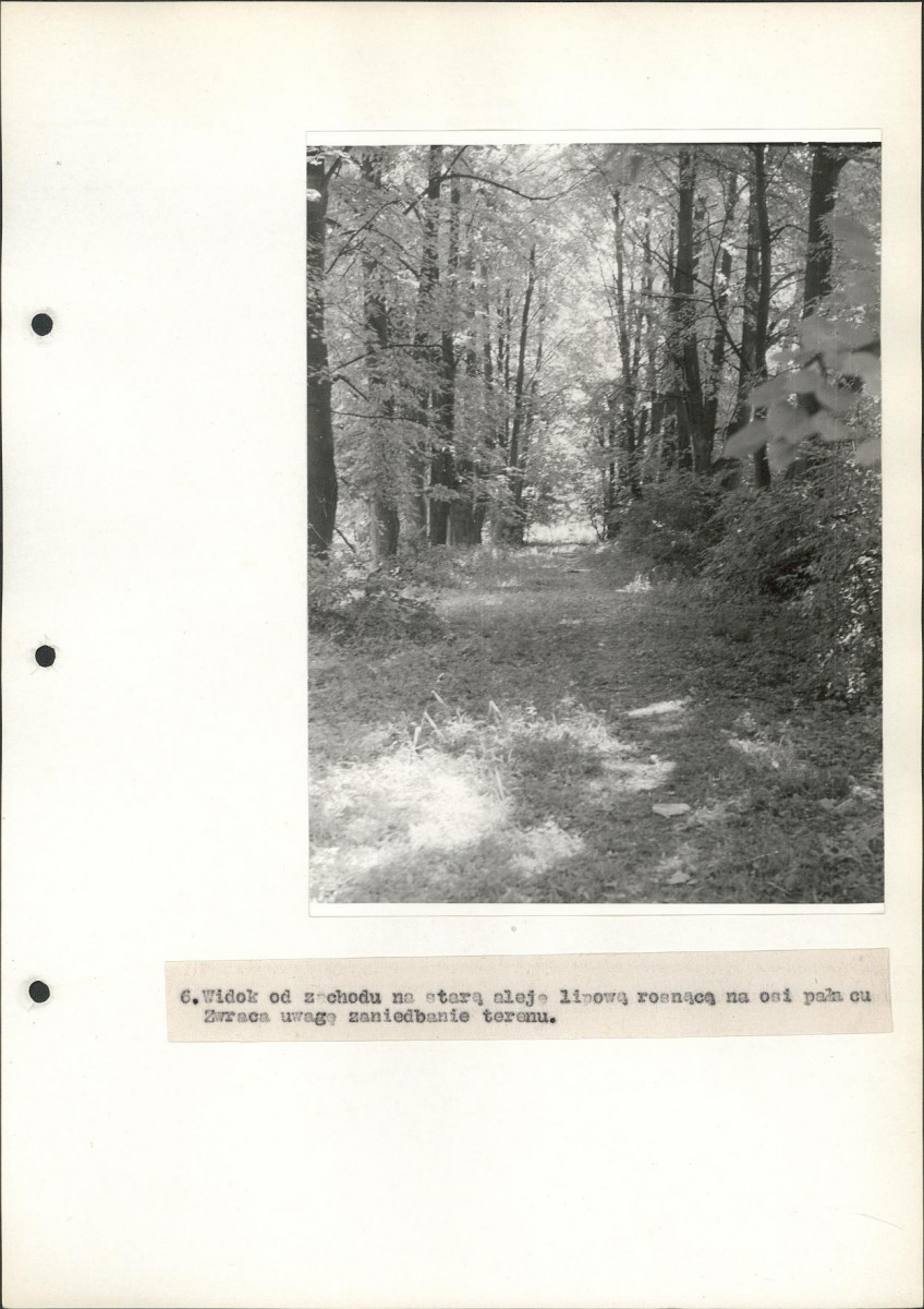Ewidencja parkowa, skan nr 35