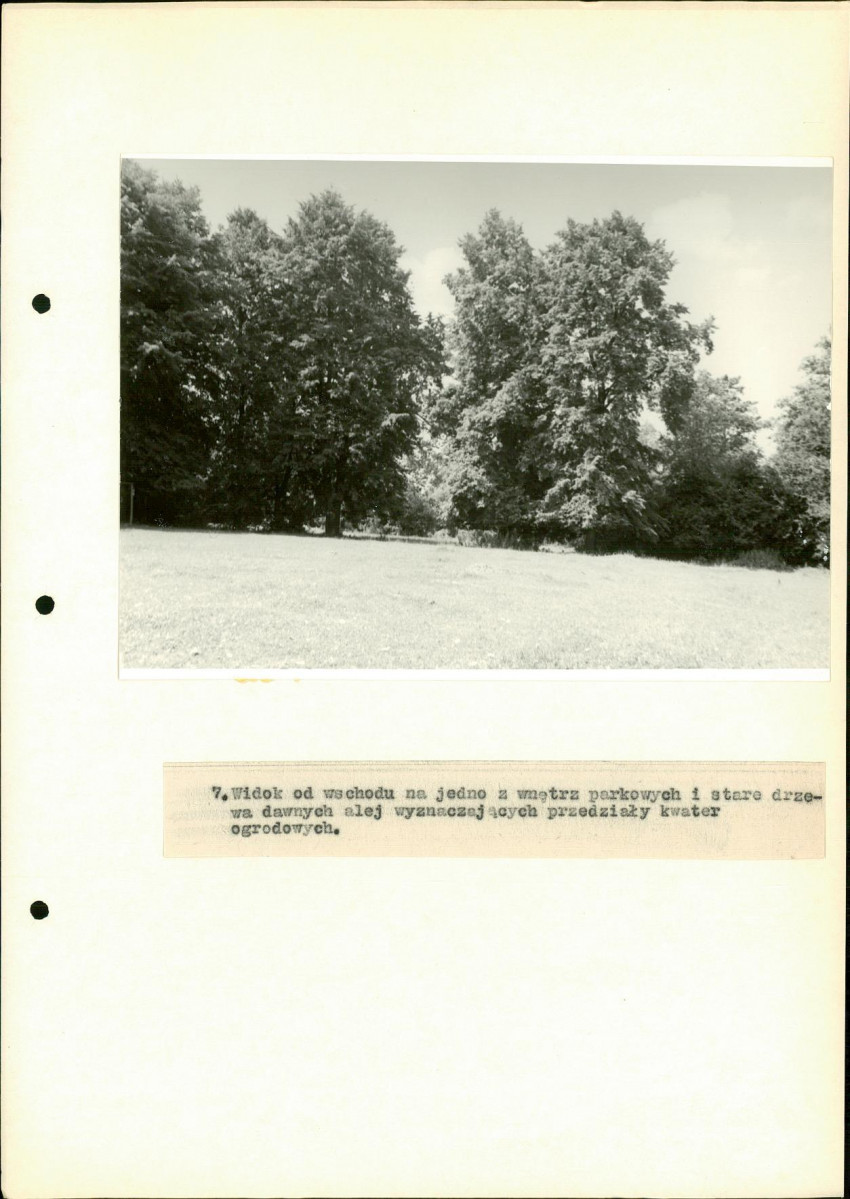 Ewidencja parkowa, skan nr 36