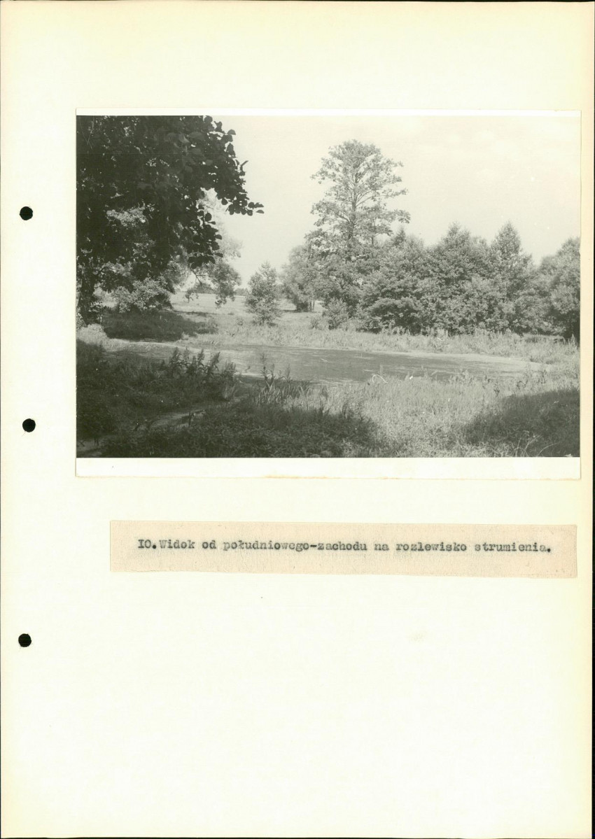 Ewidencja parkowa, skan nr 39