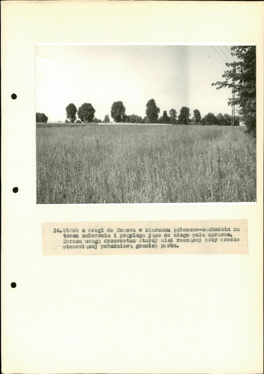 Ewidencja parkowa, skan nr 43