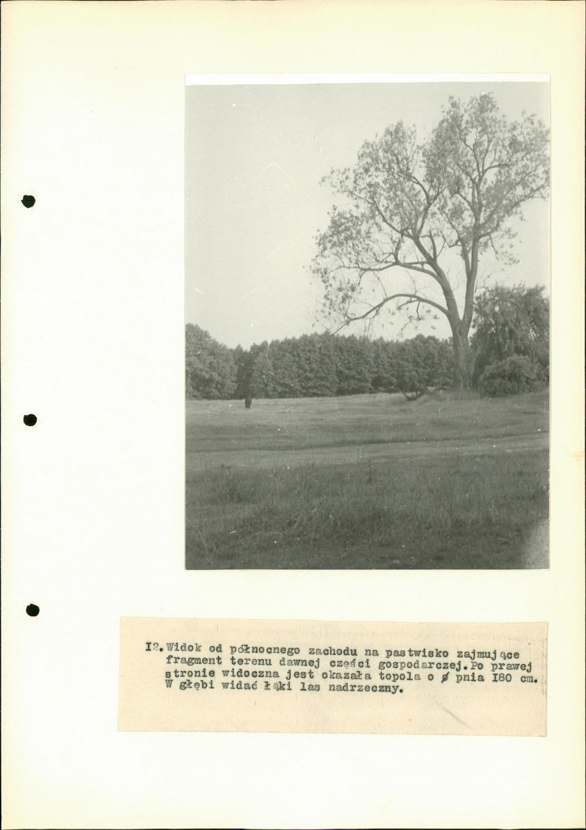 EP - Ewidencja parkowa, skan nr 37