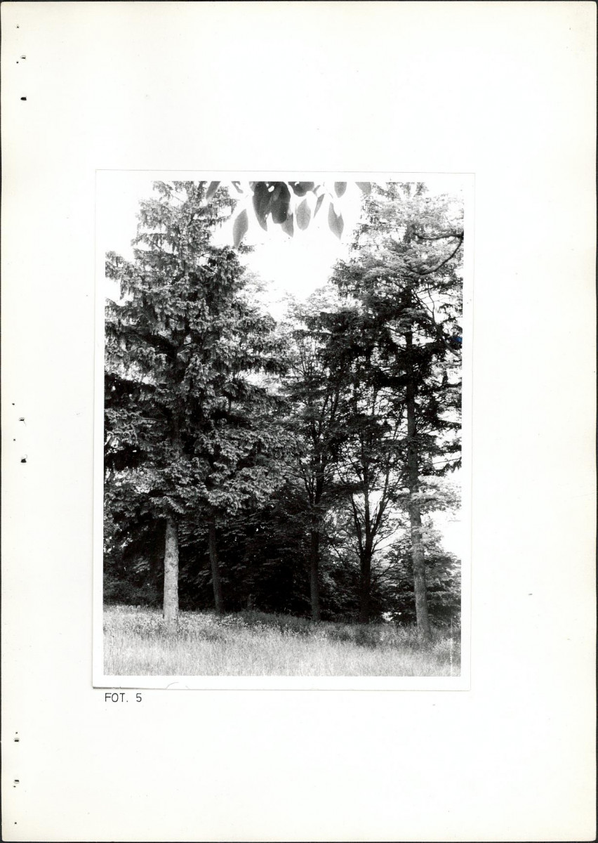 Ewidencja parkowa, skan nr 24