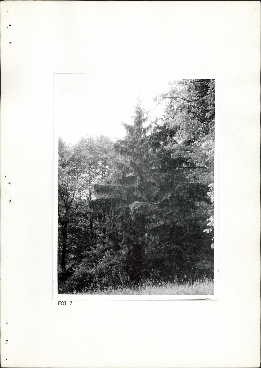 Ewidencja parkowa, skan nr 26