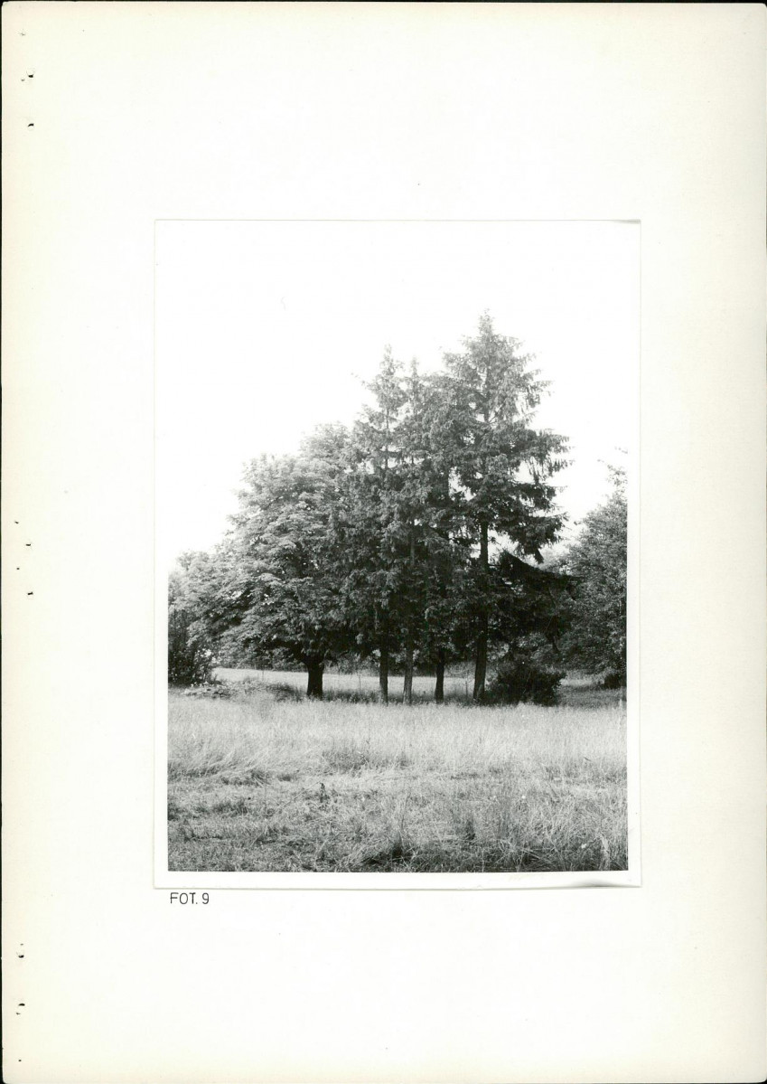 Ewidencja parkowa, skan nr 28