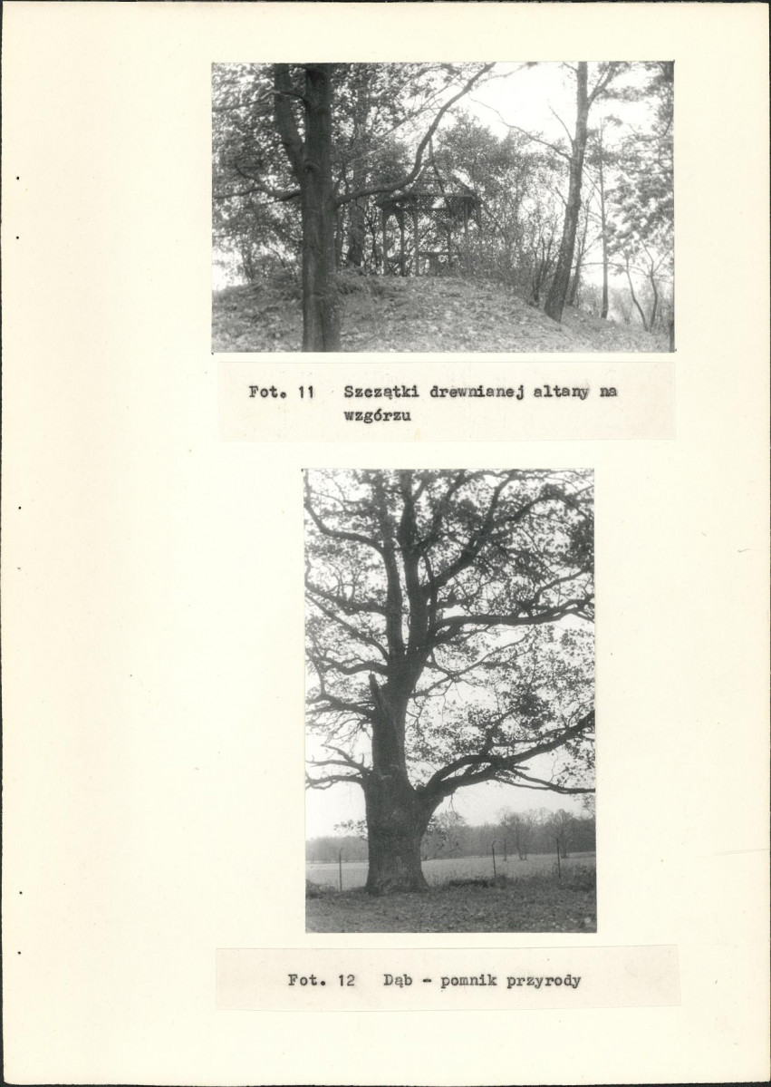 Ewidencja parkowa, skan nr 20