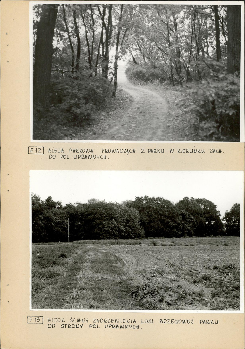 Ewidencja parkowa, skan nr 30