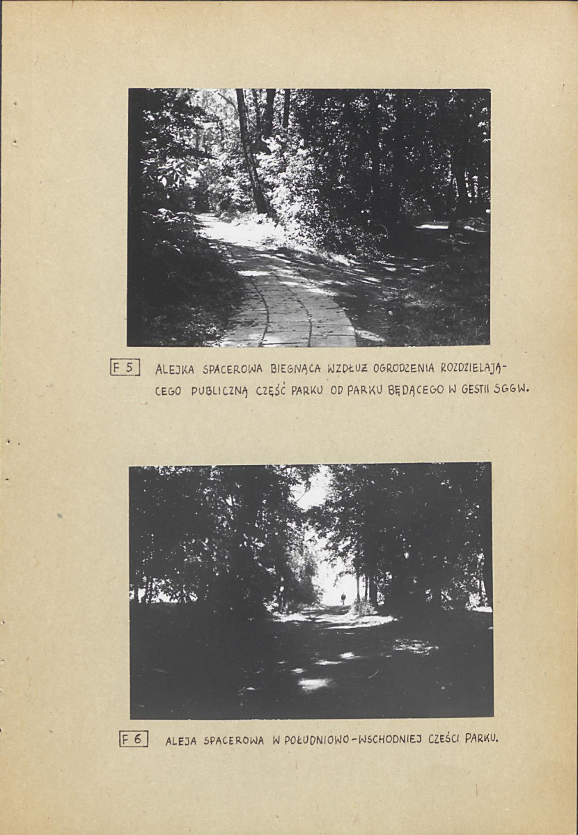 Ewidencja parkowa, skan nr 30