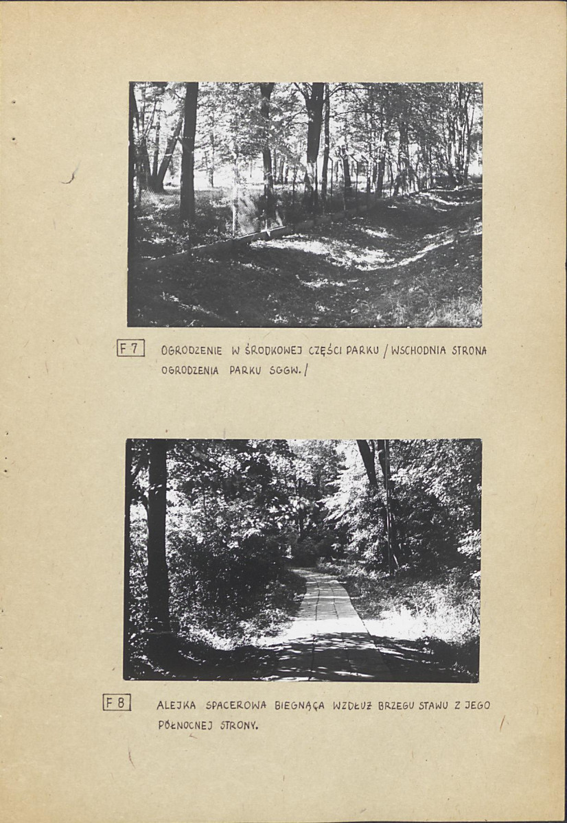 Ewidencja parkowa, skan nr 31