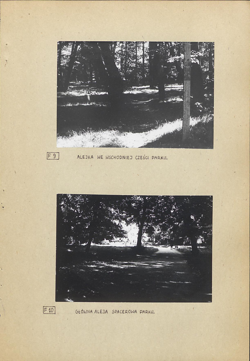 Ewidencja parkowa, skan nr 32