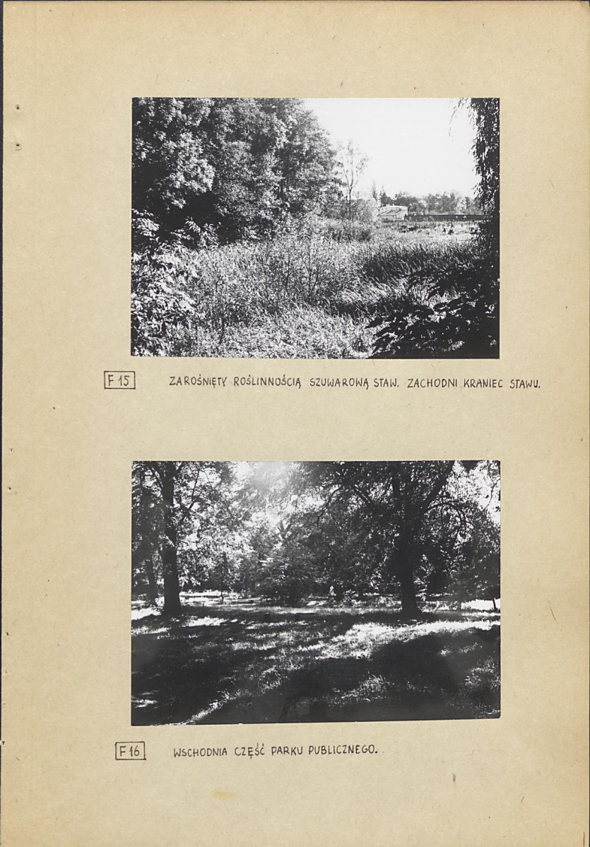 Ewidencja parkowa, skan nr 35