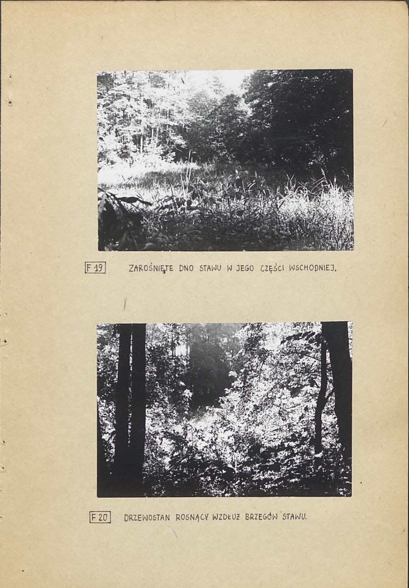 Ewidencja parkowa, skan nr 37