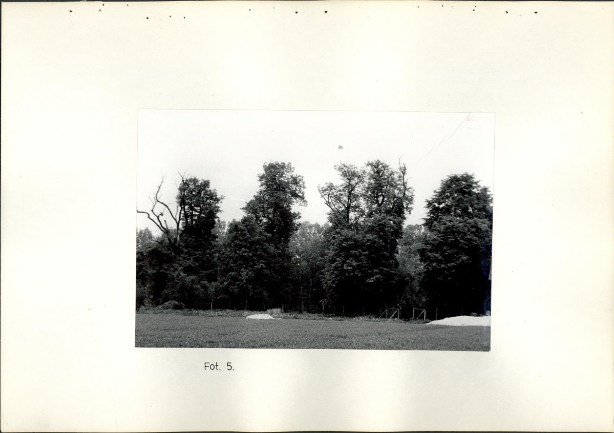 Ewidencja parkowa, skan nr 25