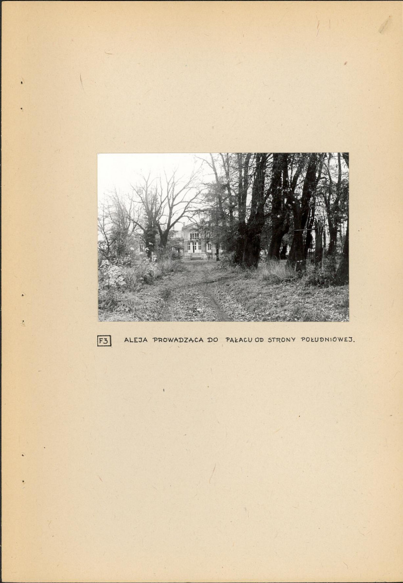 Ewidencja parkowa, skan nr 19
