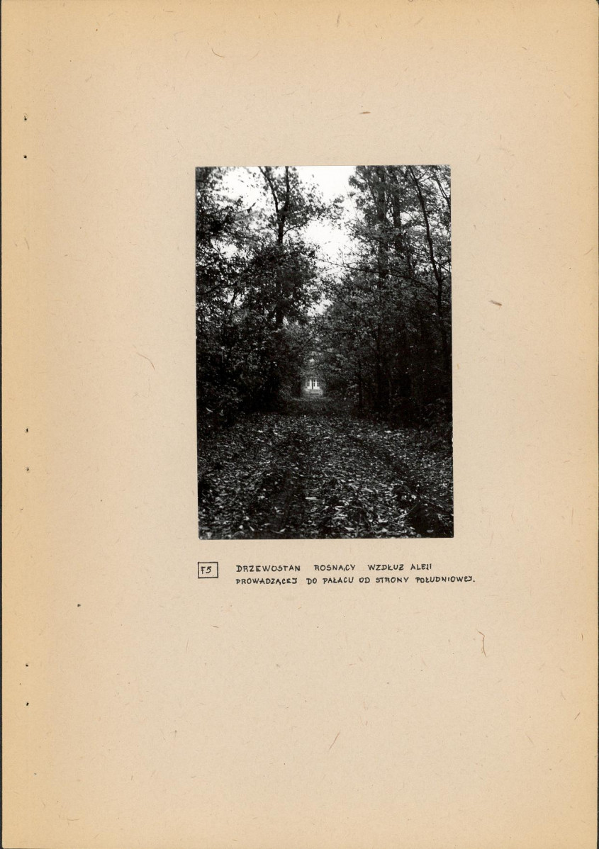Ewidencja parkowa, skan nr 21