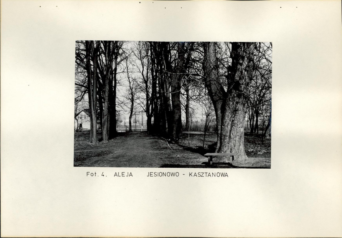 Ewidencja parkowa, skan nr 20