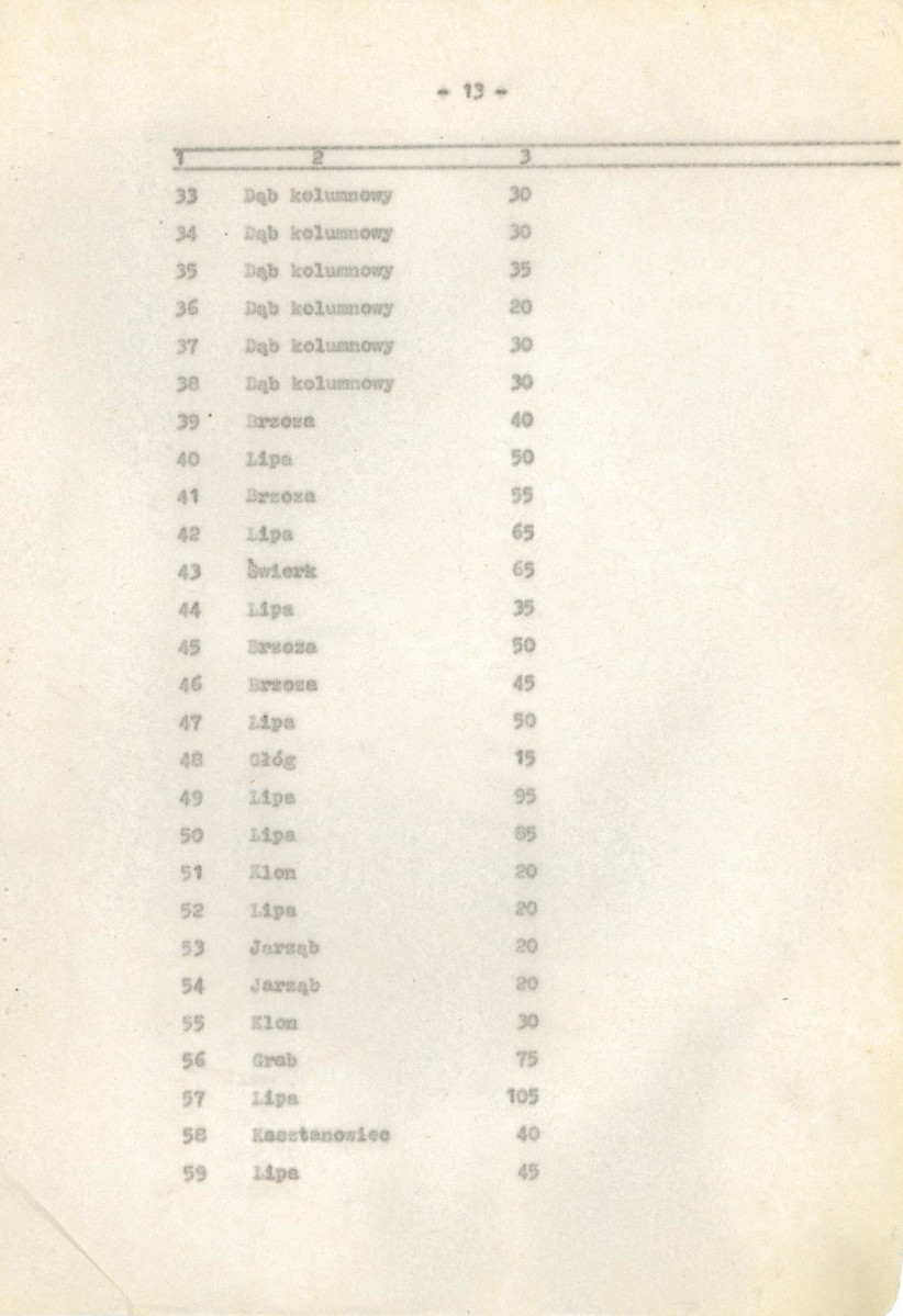 Ewidencja parkowa, skan nr 19