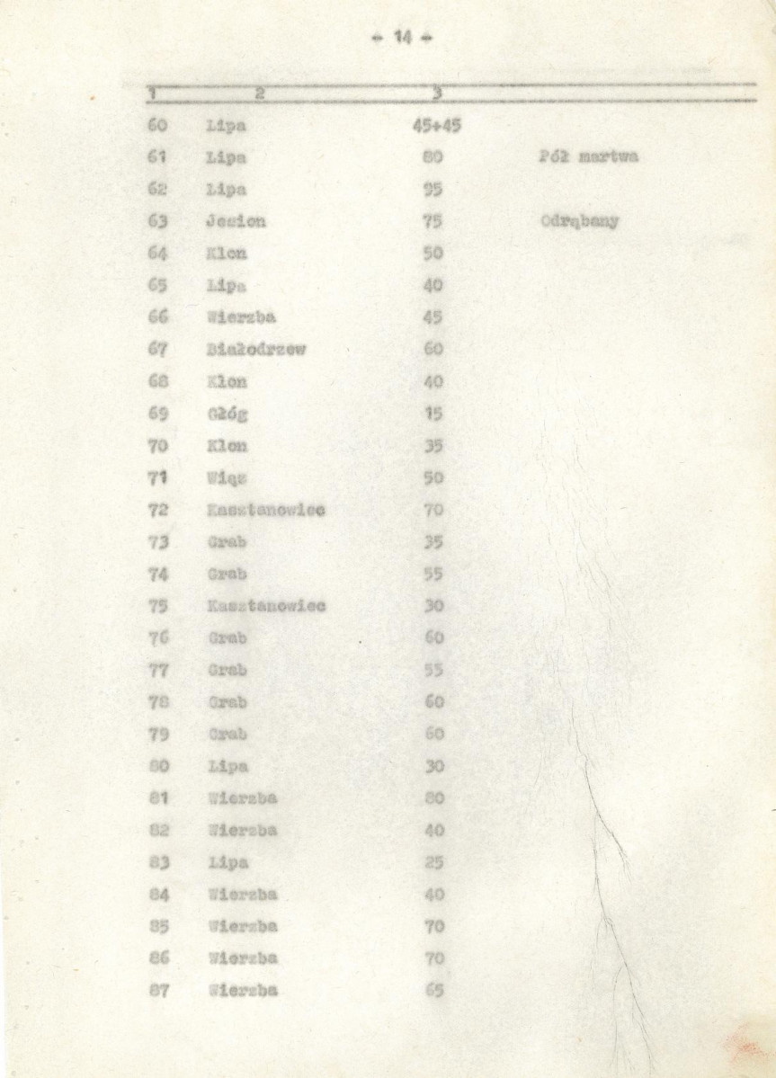 Ewidencja parkowa, skan nr 20