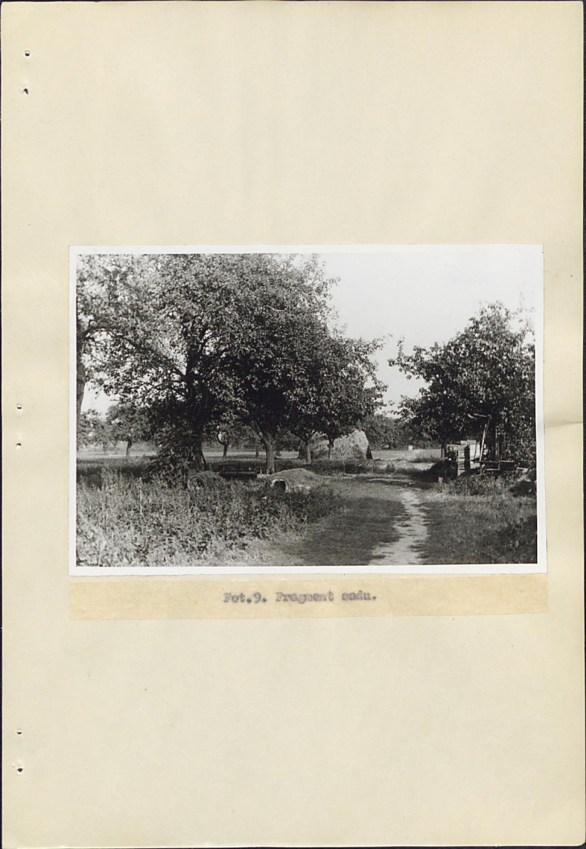 Ewidencja parkowa, skan nr 23