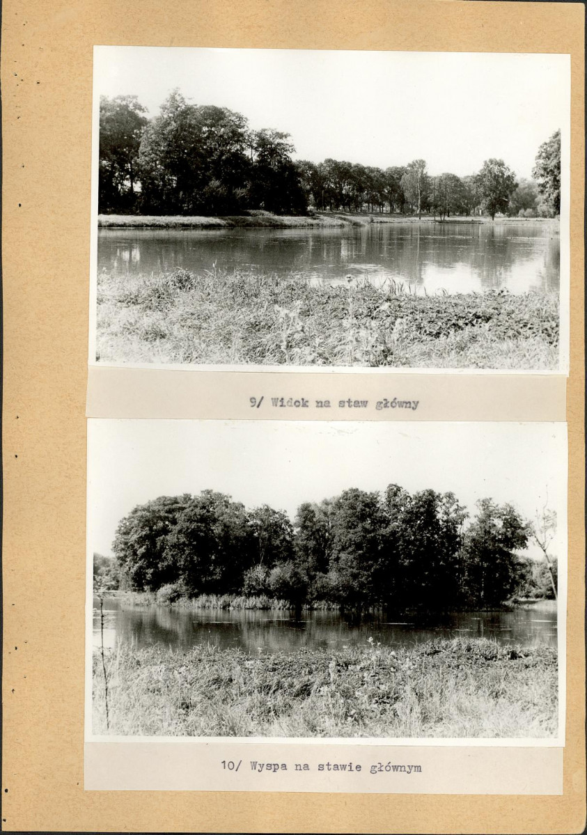Ewidencja parkowa, skan nr 34