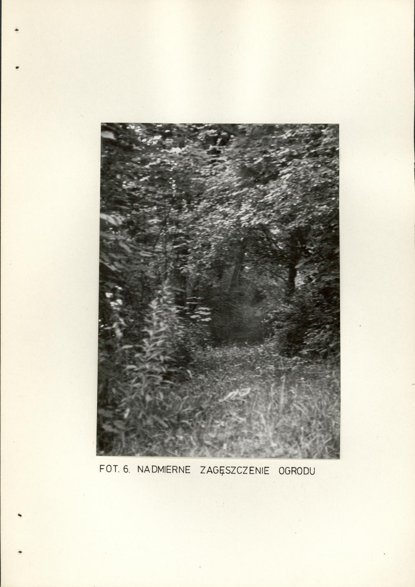 Ewidencja parkowa, skan nr 20