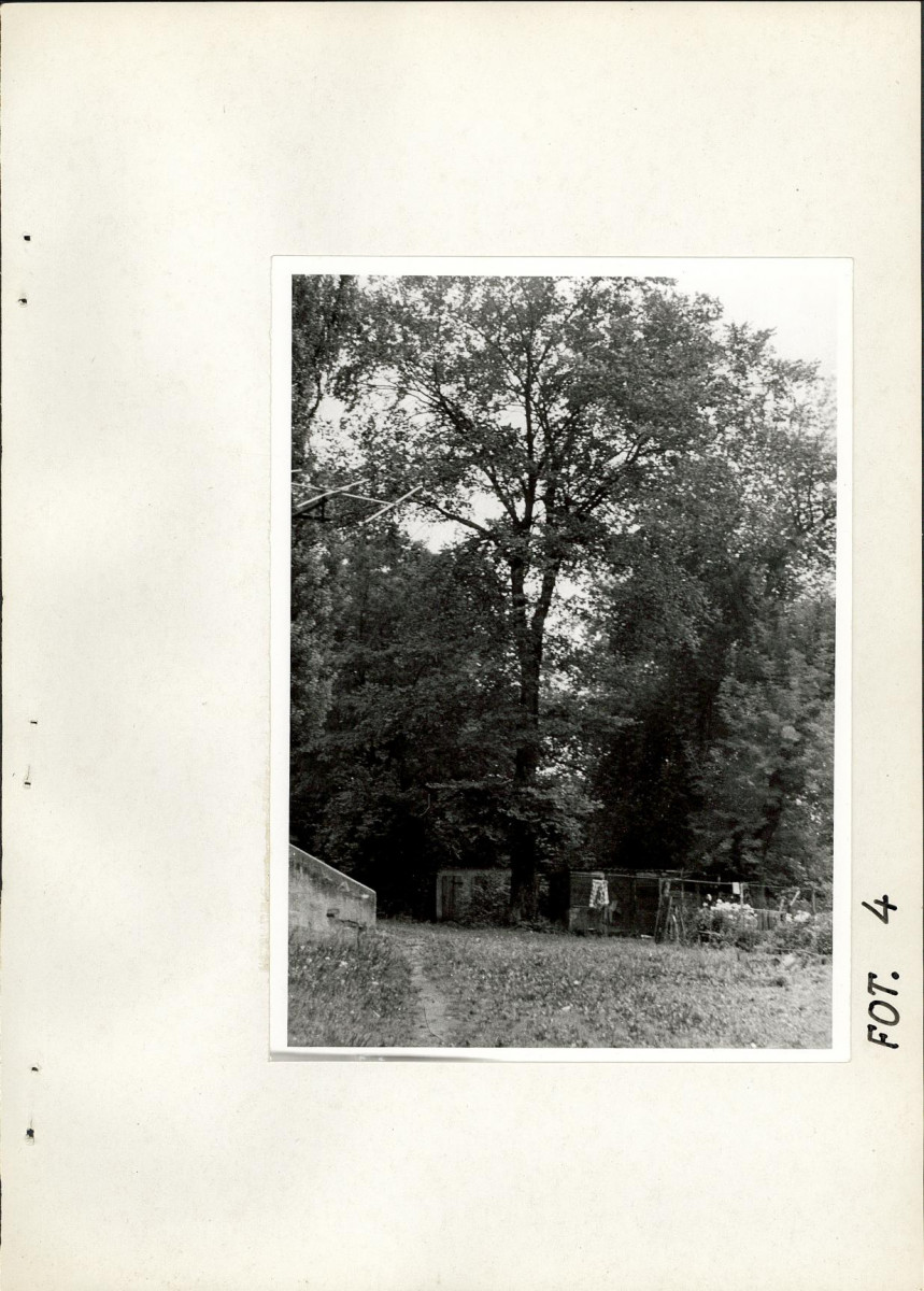 Ewidencja parkowa, skan nr 24