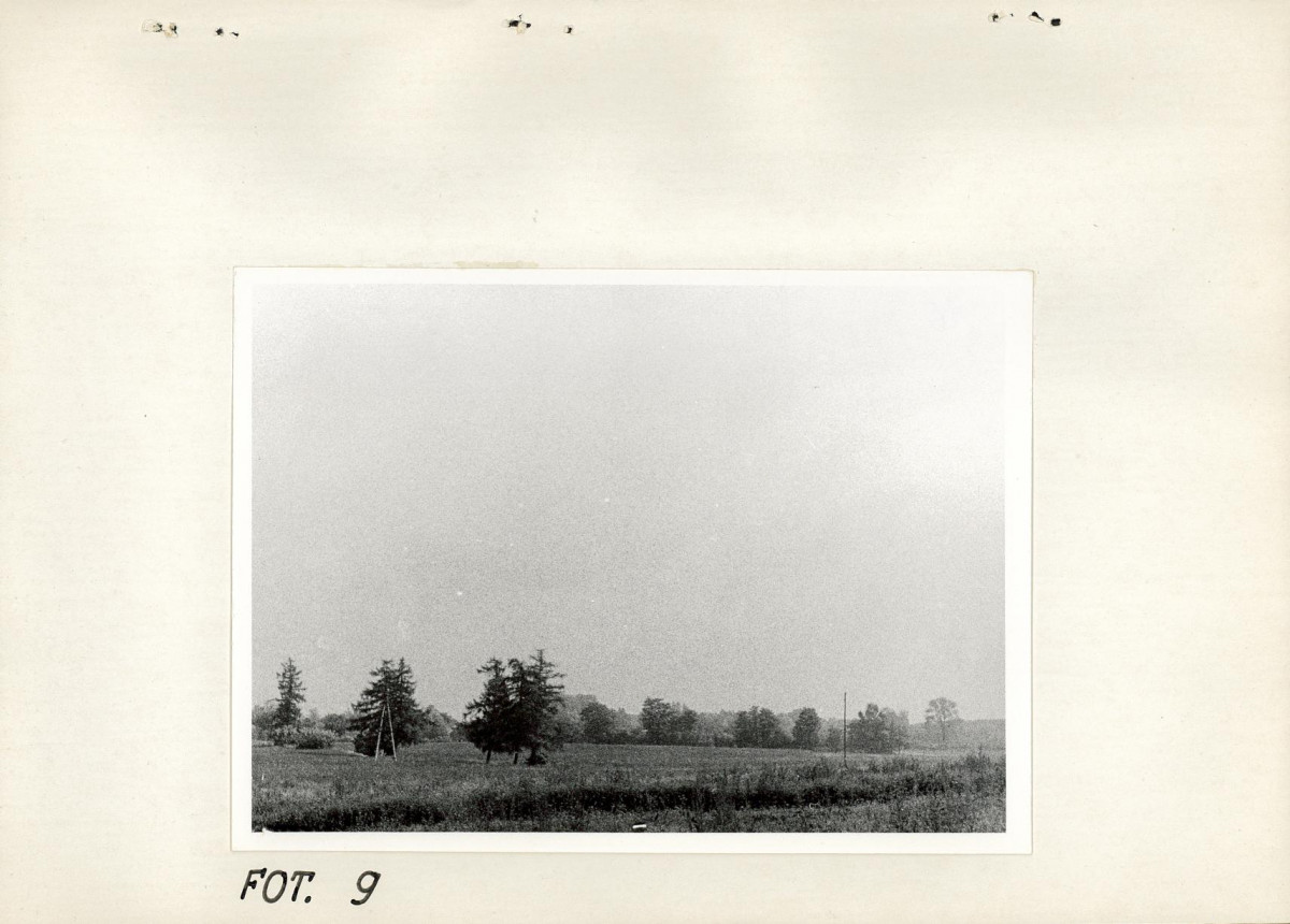 Ewidencja parkowa, skan nr 29