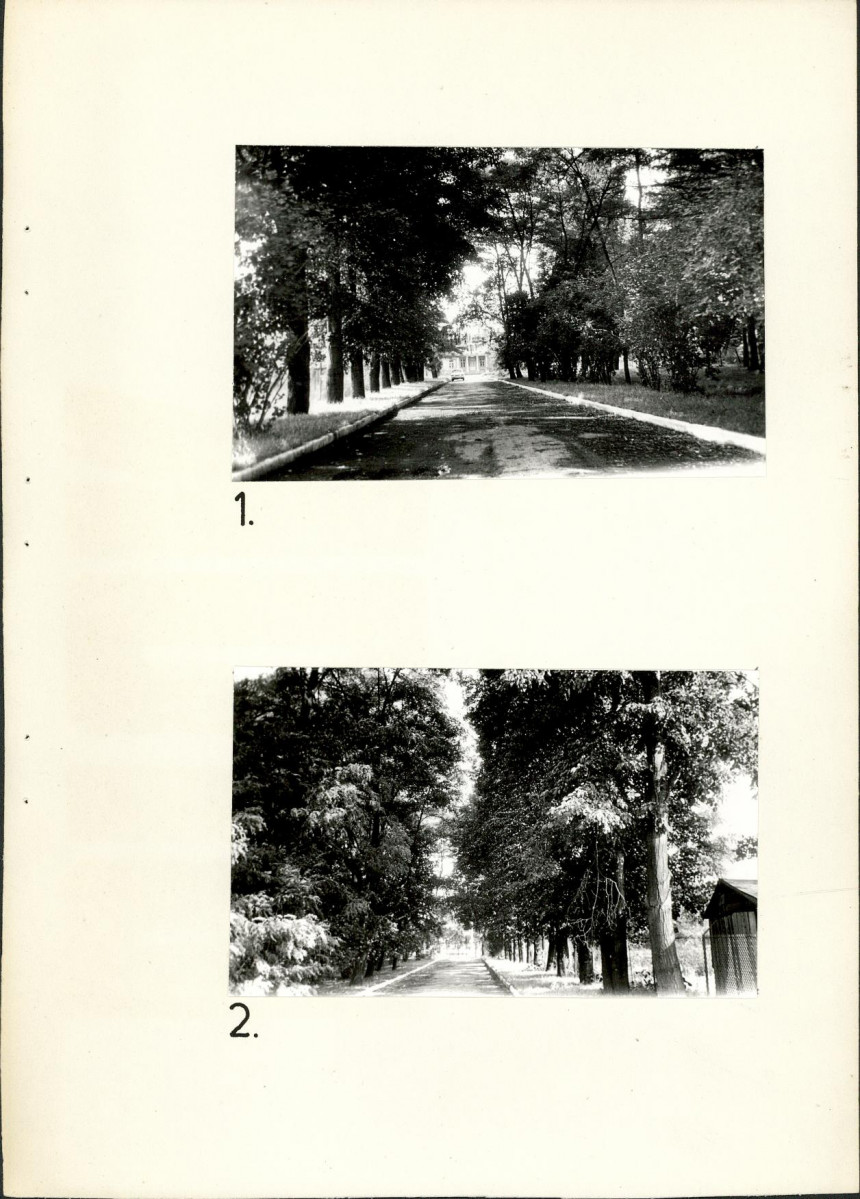 Ewidencja parkowa, skan nr 14