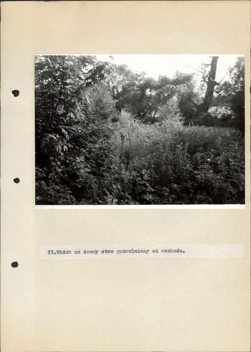 Ewidencja parkowa, skan nr 49
