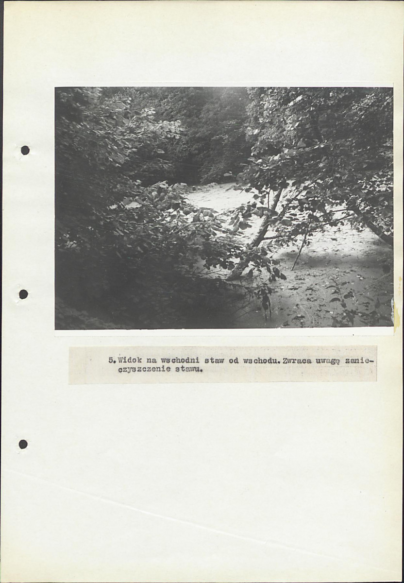EP - Ewidencja parkowa, skan nr 32