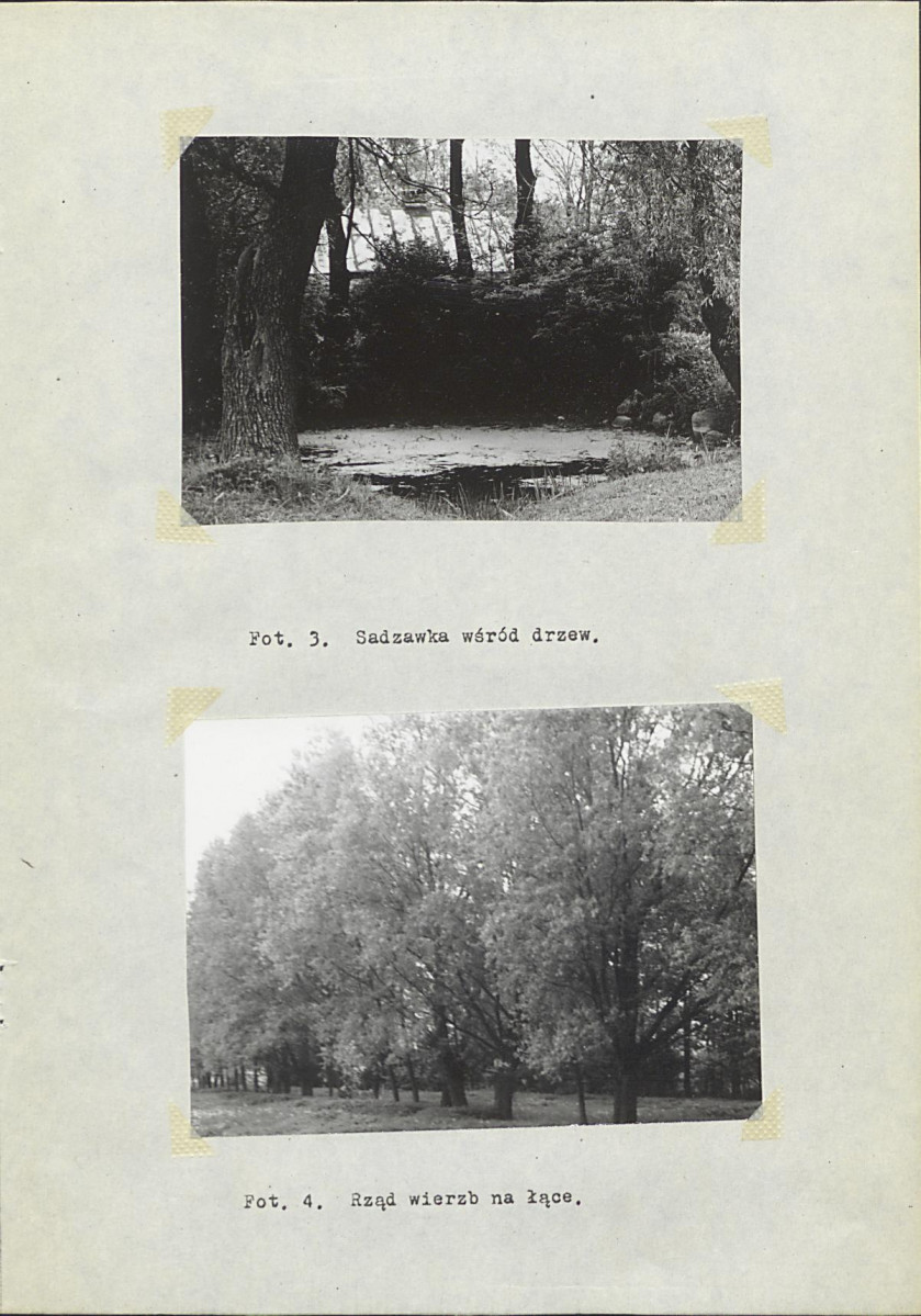 Ewidencja parkowa, skan nr 9