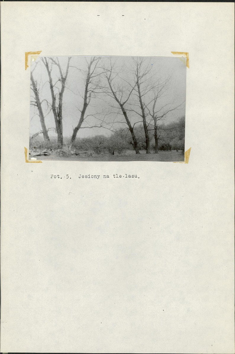 Ewidencja parkowa, skan nr 10