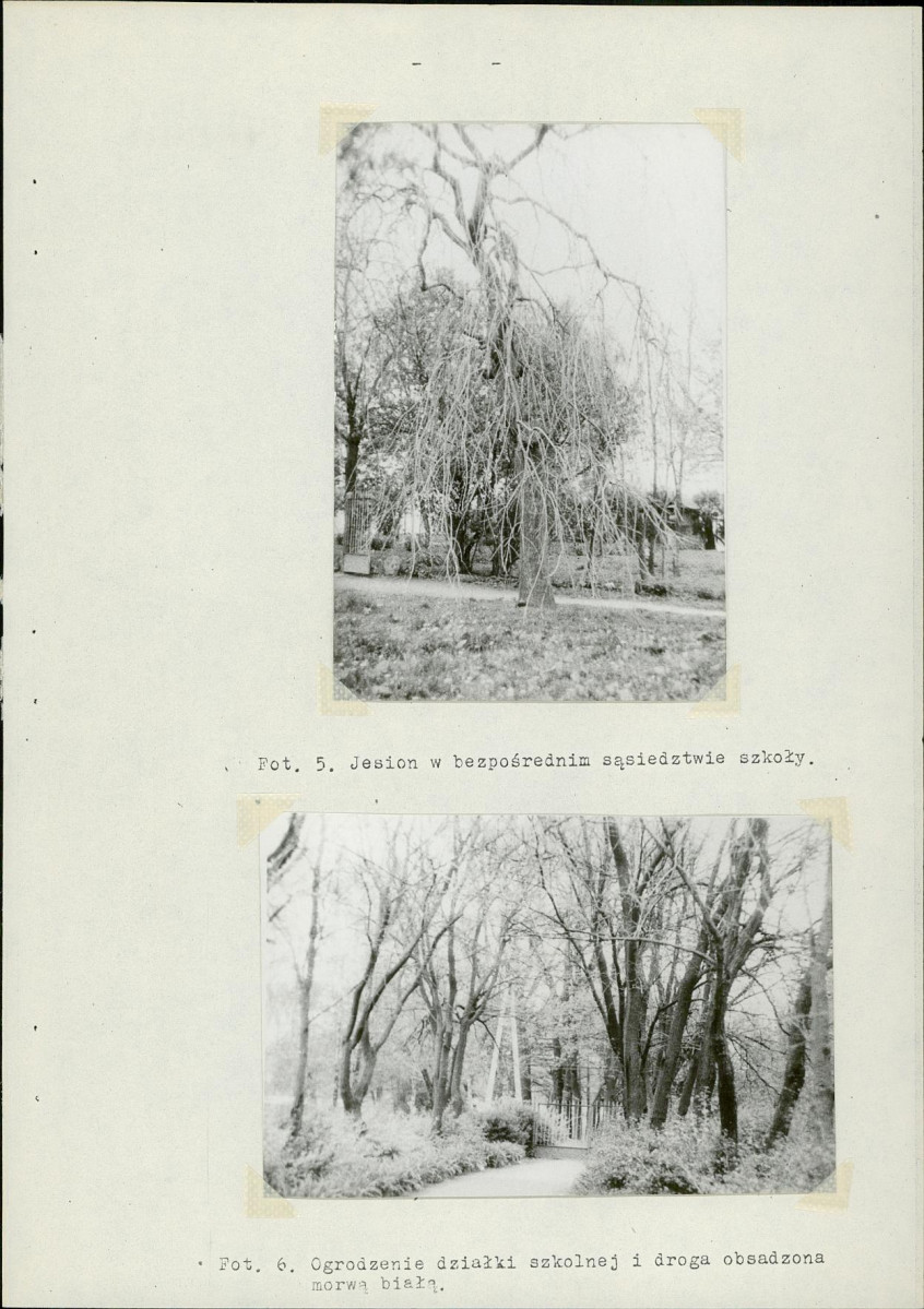 Ewidencja parkowa, skan nr 11