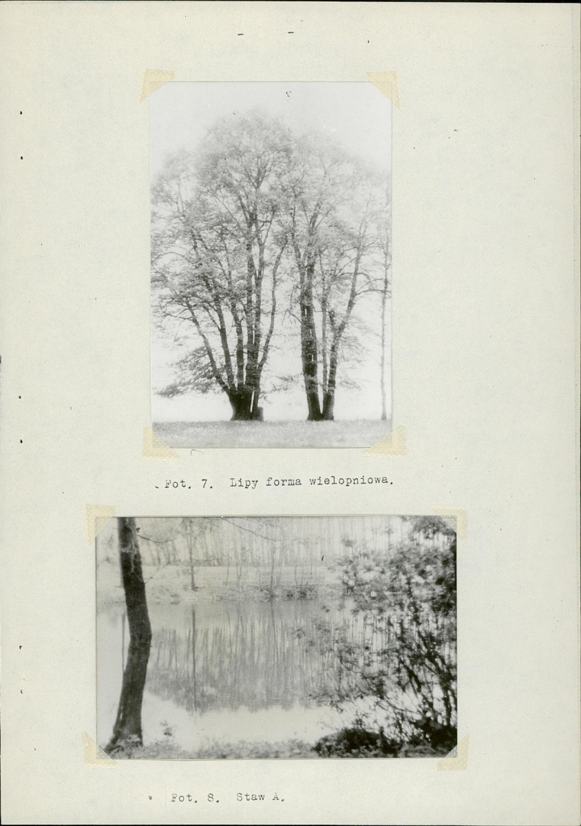 Ewidencja parkowa, skan nr 12