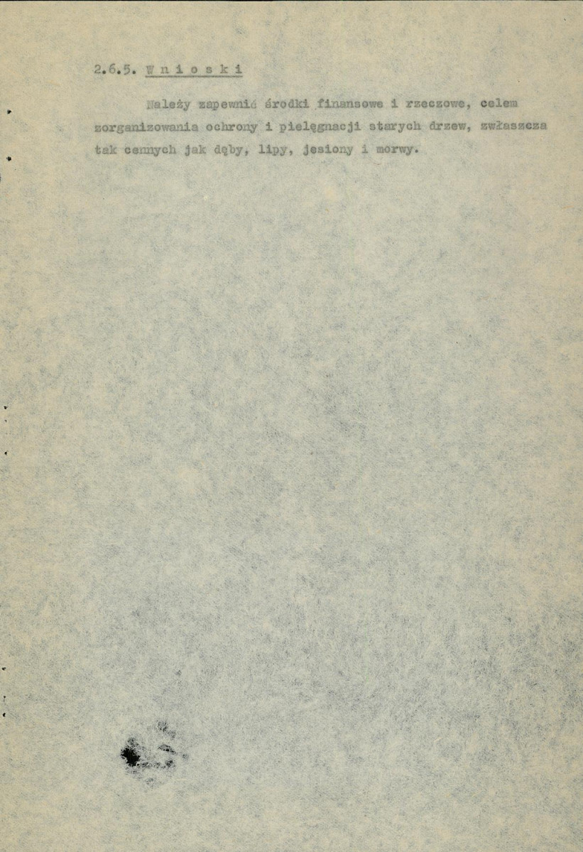 Ewidencja parkowa, skan nr 13