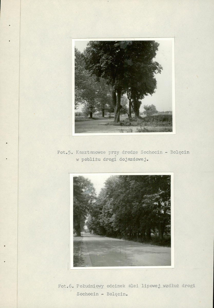 Ewidencja parkowa, skan nr 25